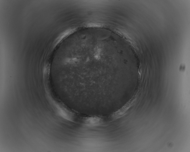 X0000094440168200711211504