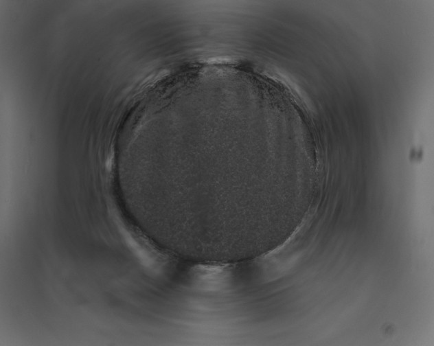 X0000094440170200711211504