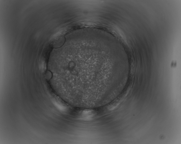 X0000094440173200711211504