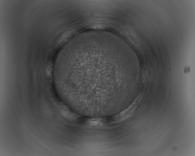 X0000094440175200711211504