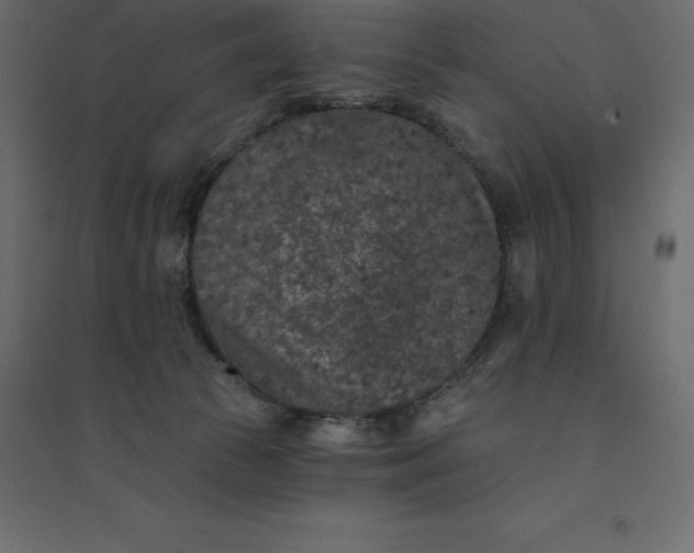 X0000094440177200711211504