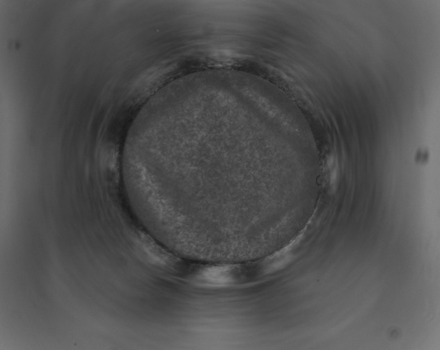 X0000094440178200711211504