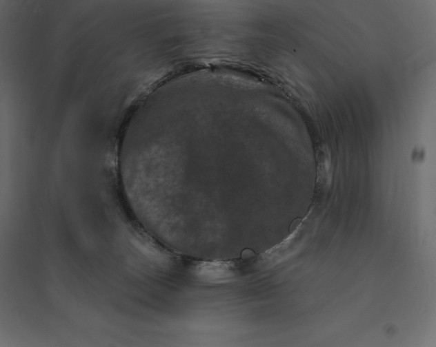 X0000094440179200711211504