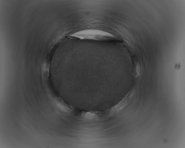 X0000094440180200711211504