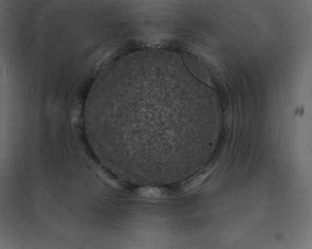 X0000094440181200711211504