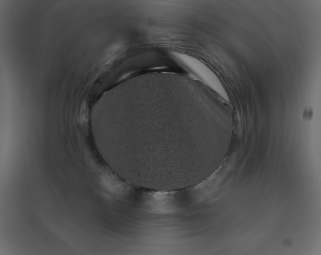 X0000094440184200711211504