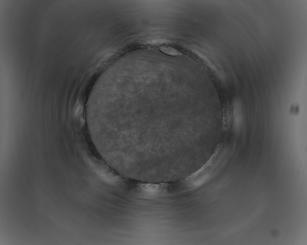 X0000094440187200711211504