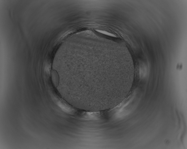 X0000094440188200711211504