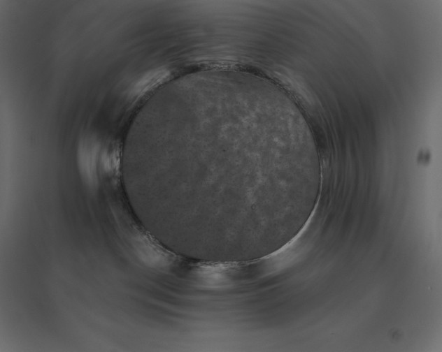 X0000094440190200711211504