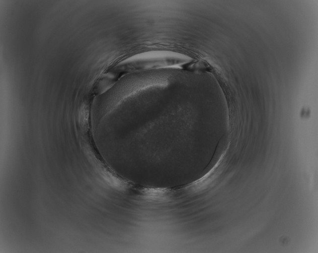 X0000094440192200711211504