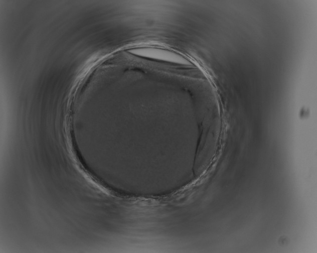 X0000094440193200711211503