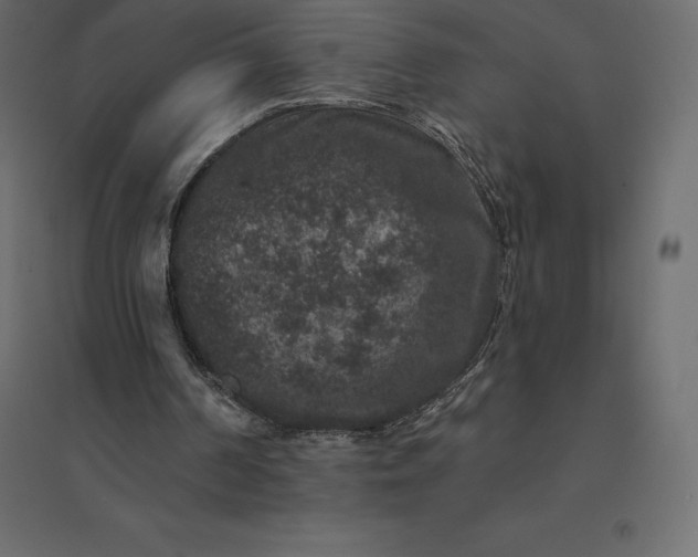 X0000094440194200711211503