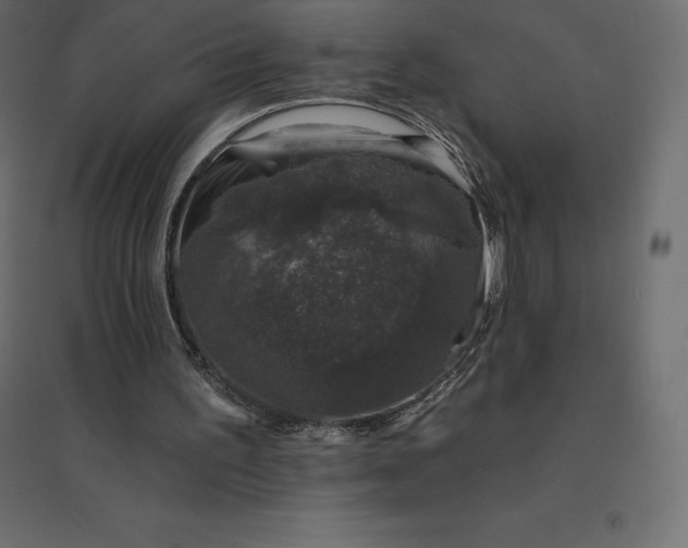 X0000094440195200711211503