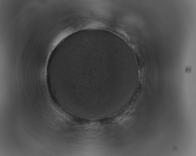 X0000094440196200711211503