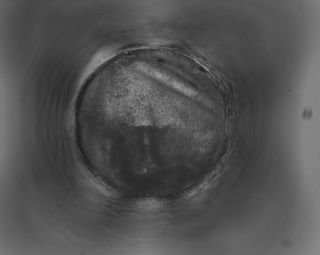 X0000094440198200711211503