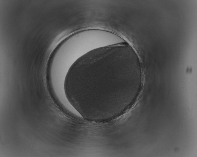 X0000094440199200711211503