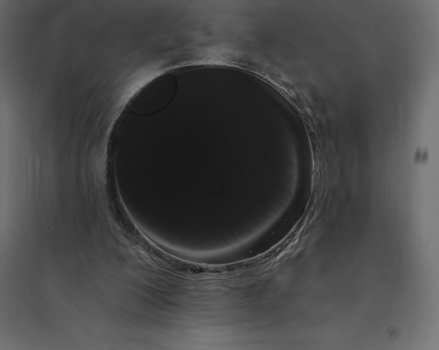 X0000094440200200711211503