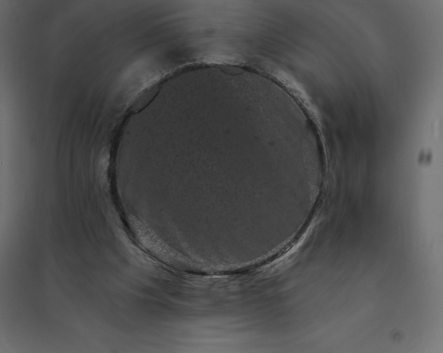 X0000094440201200711211503