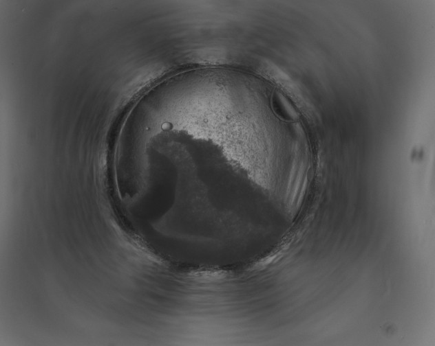 X0000094440202200711211503