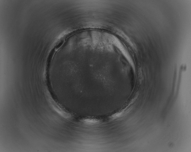 X0000094440203200711211503