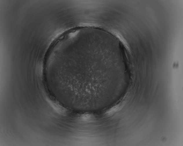 X0000094440204200711211503