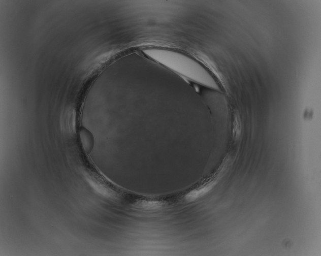 X0000094440205200711211503