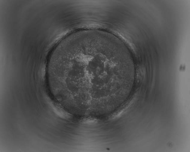 X0000094440206200711211503