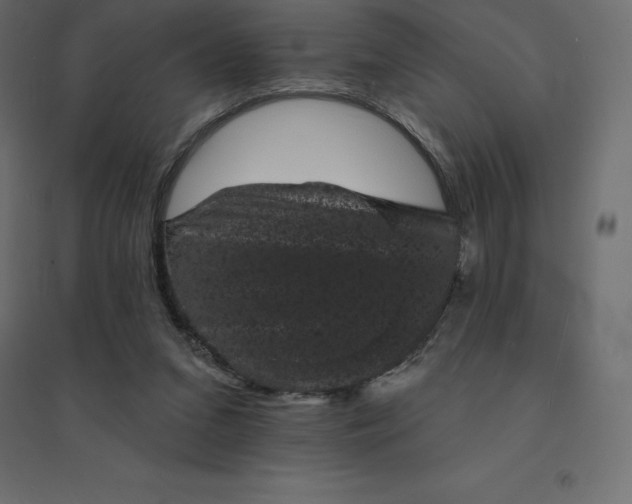 X0000094440207200711211503