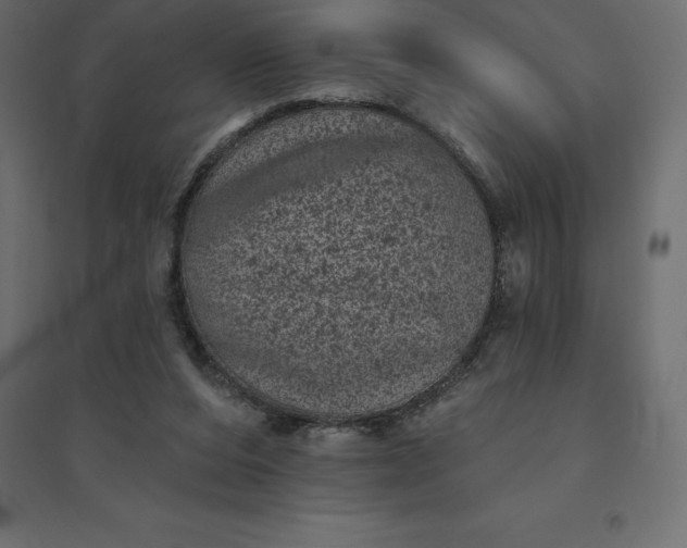 X0000094440208200711211503