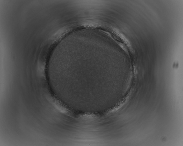 X0000094440209200711211503