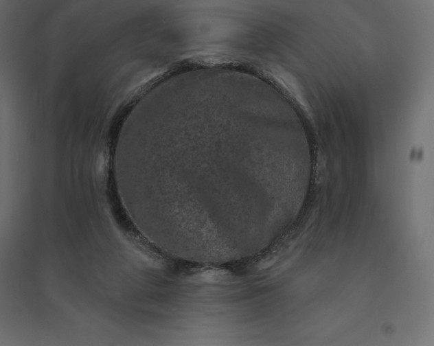 X0000094440210200711211503