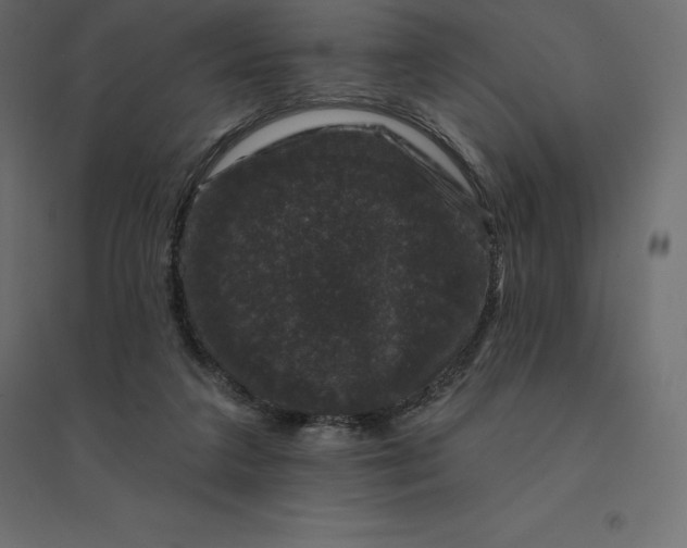 X0000094440211200711211503