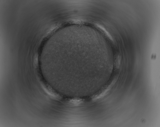 X0000094440213200711211503