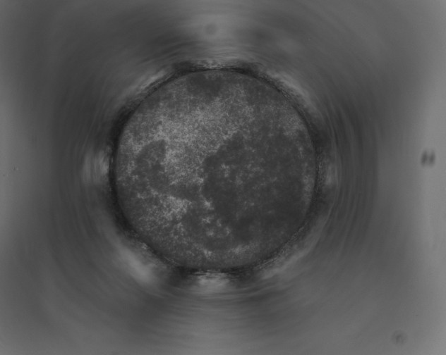 X0000094440214200711211503