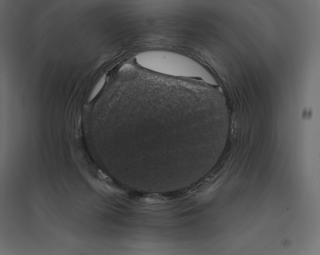 X0000094440215200711211503