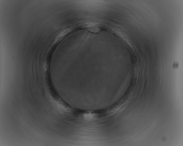 X0000094440216200711211503