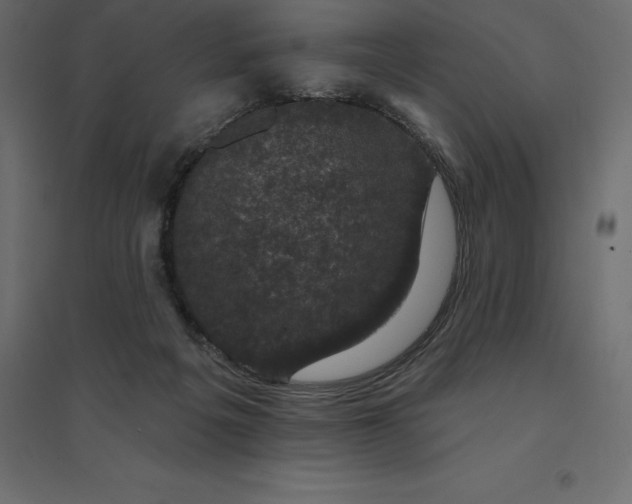 X0000094440217200711211503