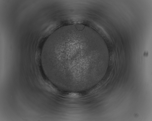 X0000094440218200711211503