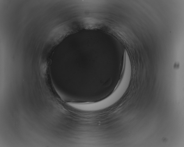 X0000094440219200711211503