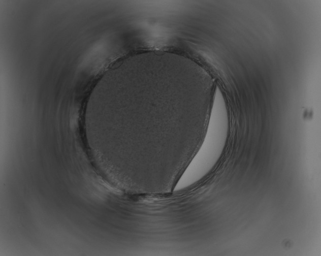 X0000094440221200711211503