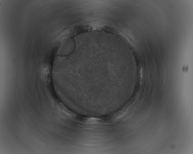 X0000094440222200711211503