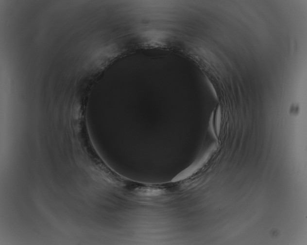 X0000094440223200711211503