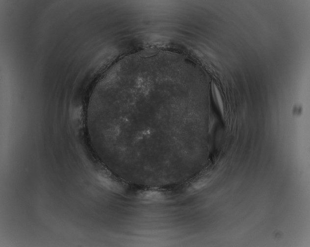 X0000094440224200711211503