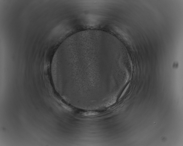 X0000094440225200711211503