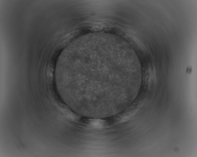 X0000094440226200711211503