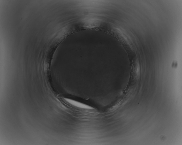 X0000094440227200711211503