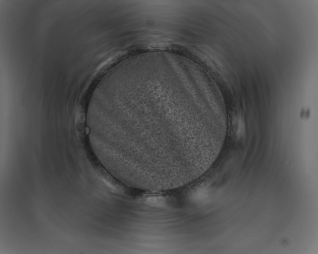 X0000094440228200711211503