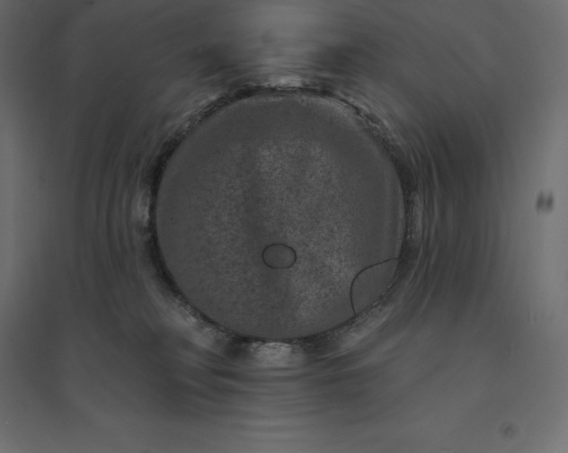 X0000094440230200711211503