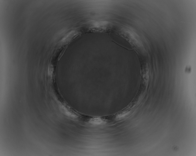 X0000094440231200711211503