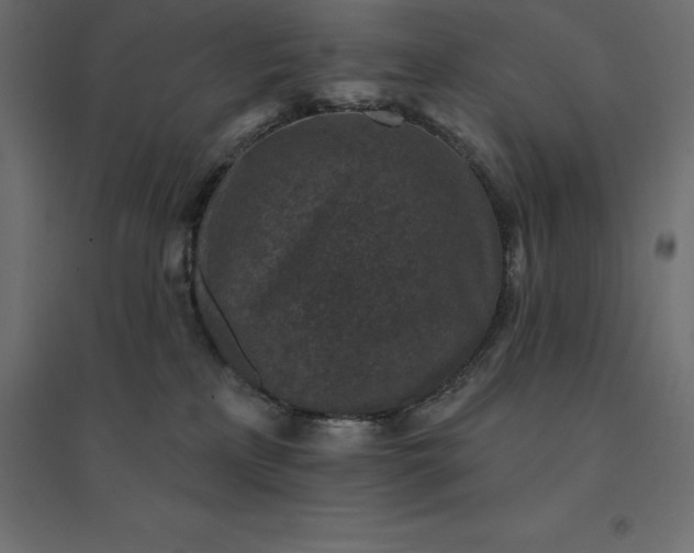 X0000094440233200711211503